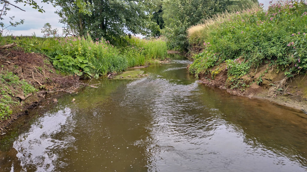 Photo of the opened up beck